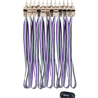 Metal Whistle with Asexual Pride Cord