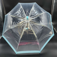 Blue Border Transparent Umbrella