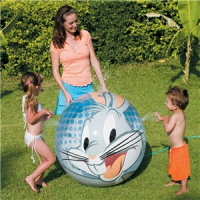 Splash & Play Beach Ball