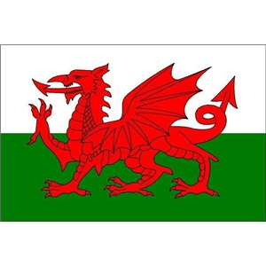 Flag Wales 5x3