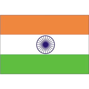 India Flag 3x5